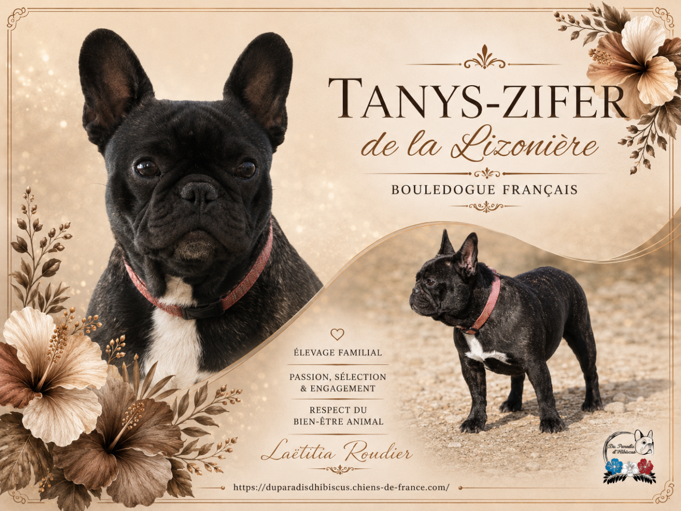 Tanys-zifer de La Lizonière