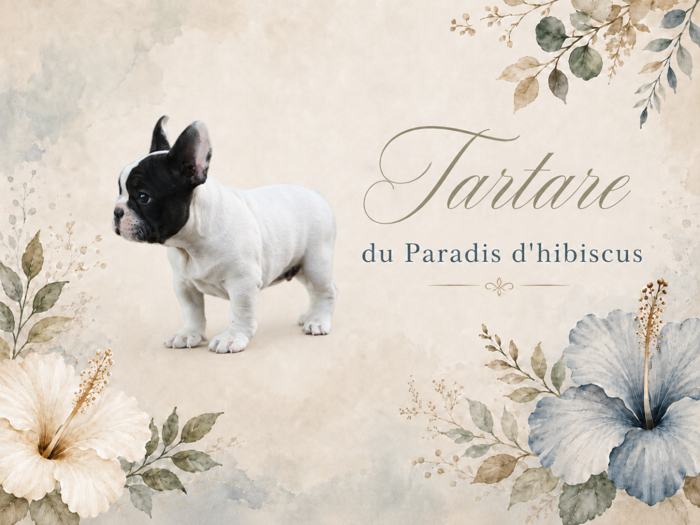 Tartare Du Paradis D'Hibiscus