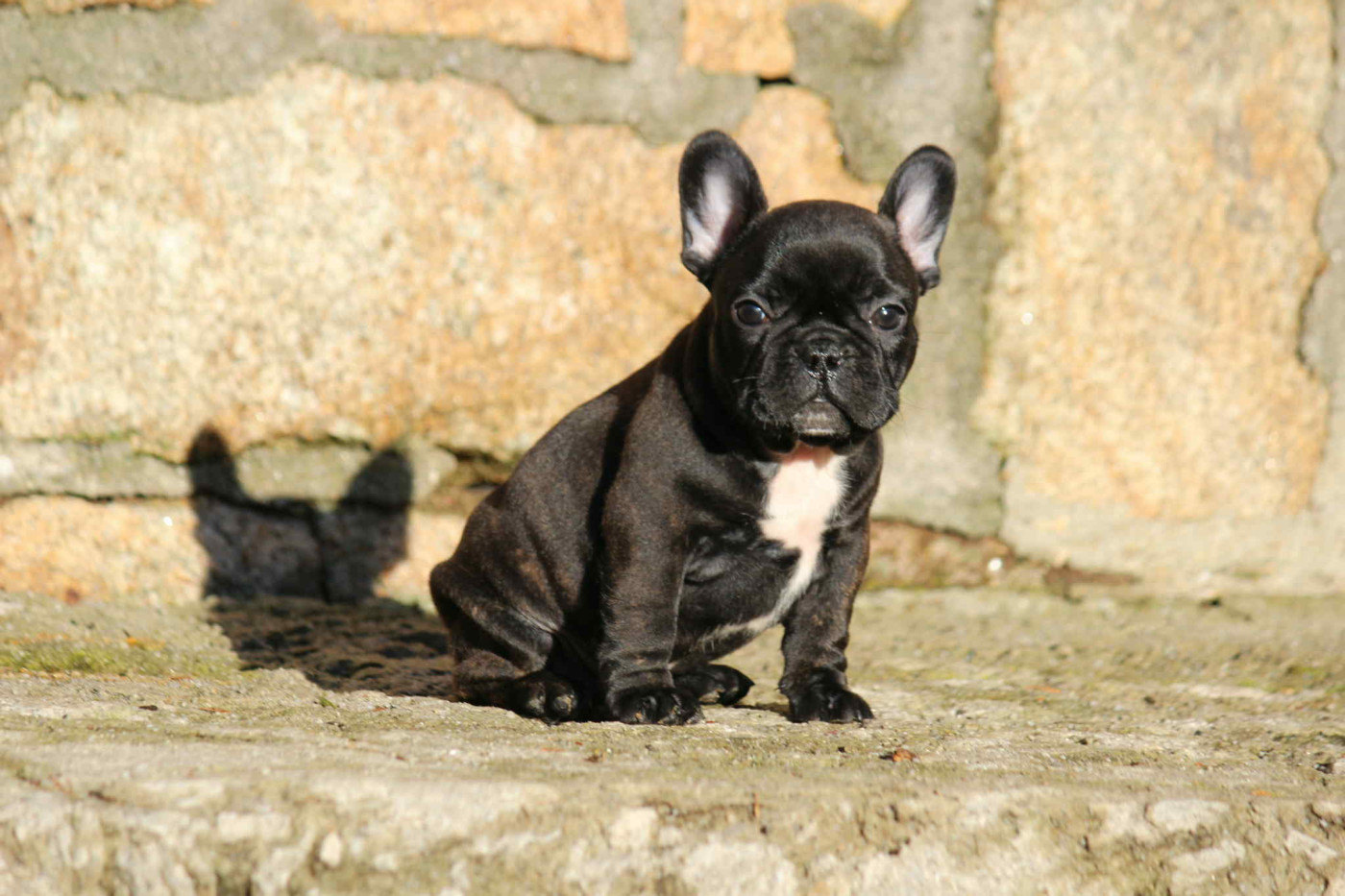 A' Bernie Noel de l'Empire des Hellls