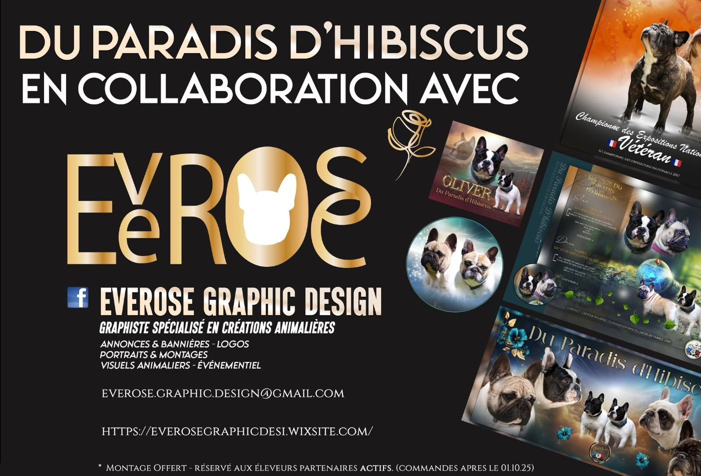 Everose Graphic Design